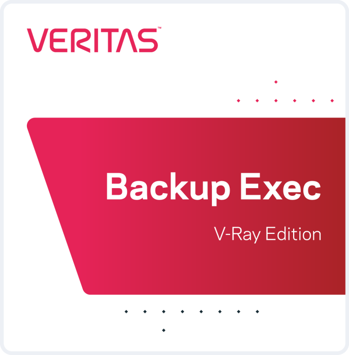 Veritas Backup Exec 22 V-Ray Edition