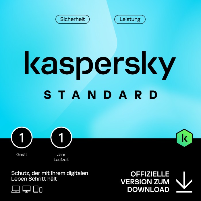 Kaspersky Standard ESD