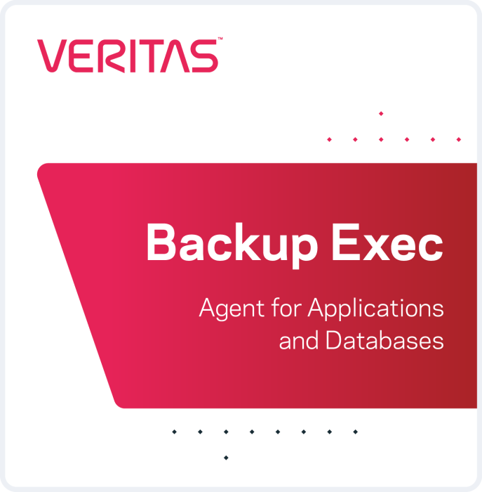 Veritas Backup Exec 22 Agent for Applications and Databases