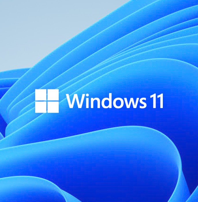 Microsoft Windows 11 Home DE System Builder