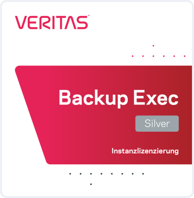 Veritas Backup Exec 22 Silver - Instanz Lizenzierung
