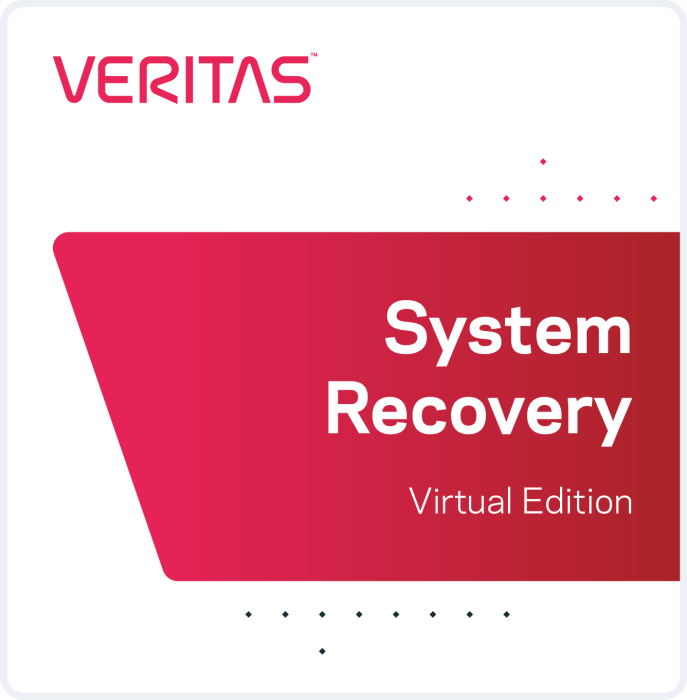 Veritas System Recovery Virtual Edition
