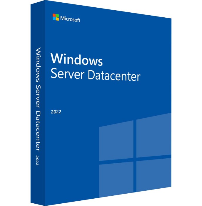 Microsoft Windows Server 2022 Datacenter Systembuilder DE