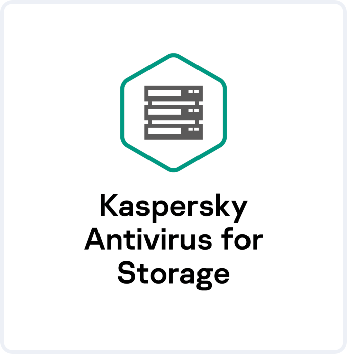 Kaspersky Antivirus for Storage