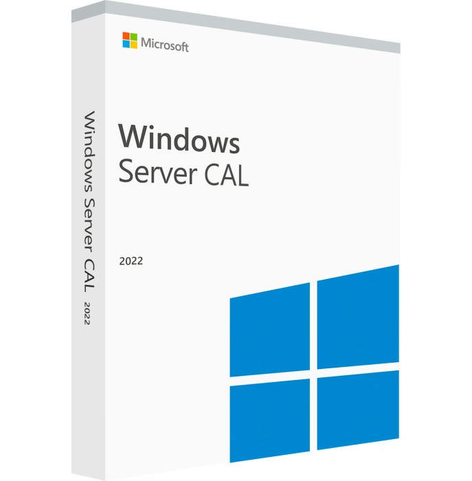 Microsoft Windows Server 2022 RDS Device CAL ROK (5 Geräte)