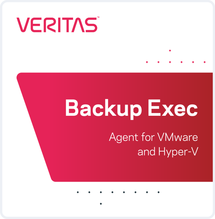 Veritas Backup Exec 22 Agent for VMware and Hyper-V