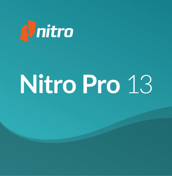 Nitro Pro 14