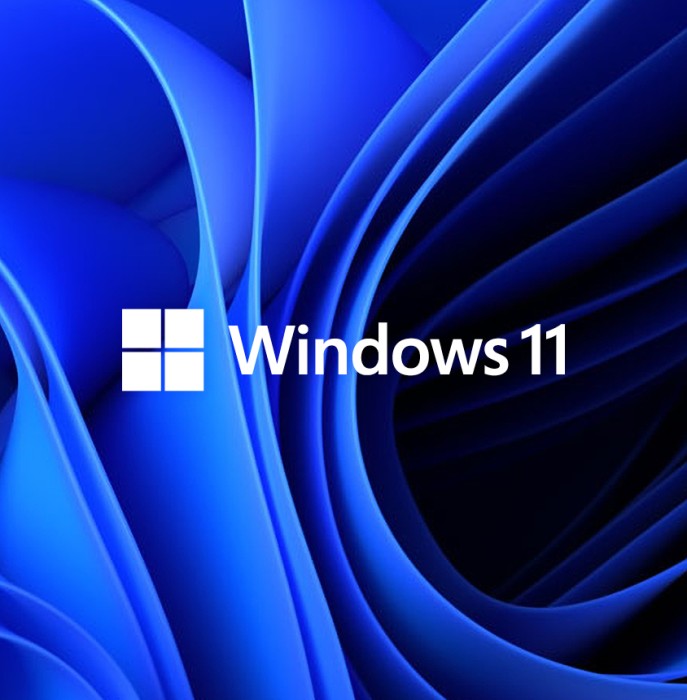 Microsoft Windows 11 Pro DE System Builder